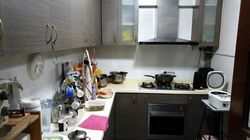 Blk 665 Eunos Damai Ville (Bedok), HDB Executive #329838711